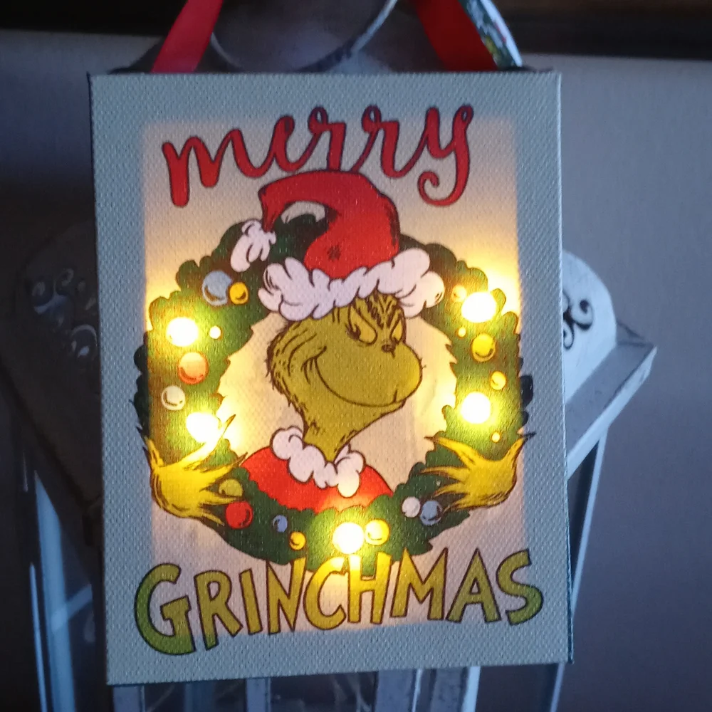 Grinch Light Up Canvas Ornament